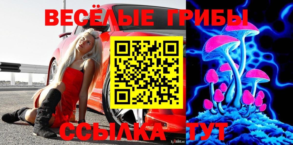 Псилоцибиновые грибы прущие грибы Гусиноозёрск