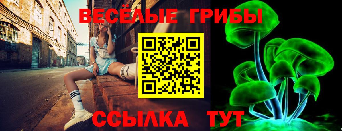 Галлюциногенные грибы Psilocybe  Вход с VPN  как найти   Гусиноозёрск 